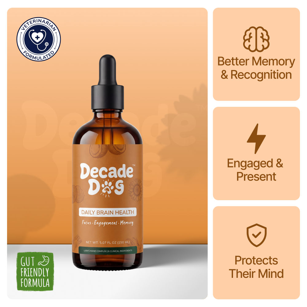 Decade Dog™ Daily Brain Health