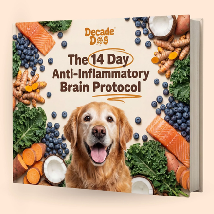 14 Day Anti-Inflammatory Brain Protocol