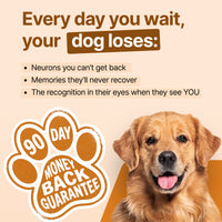 Decade Dog™ Daily Brain Health