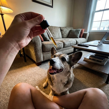 EMILY T.'s dog