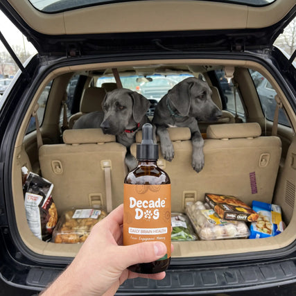 MIKE T's dog