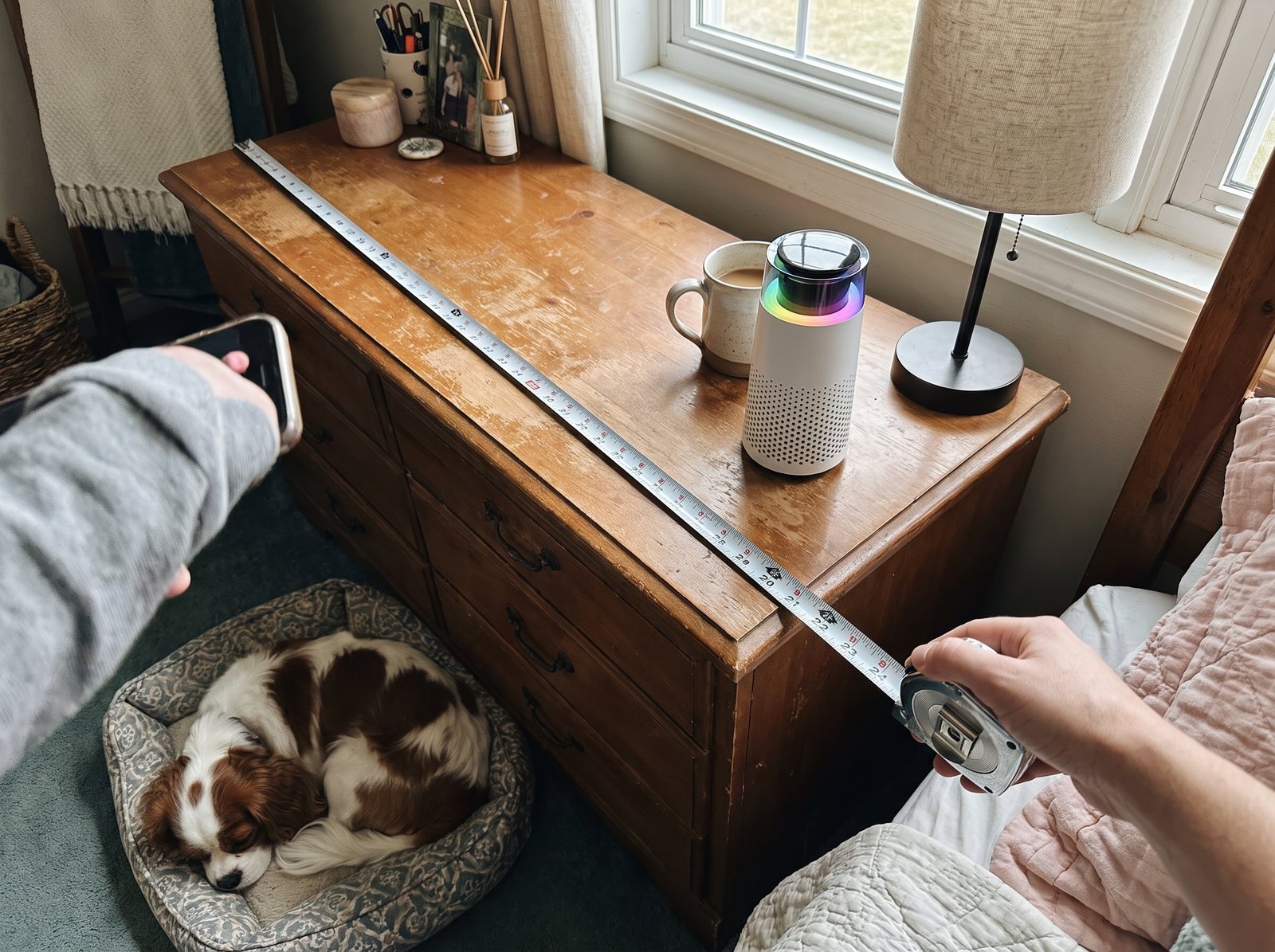 A hand stretching a tape measure across a dresser top beside the Puppy Kind purifier and a lamp, a cavalier spaniel on the dog bed below.