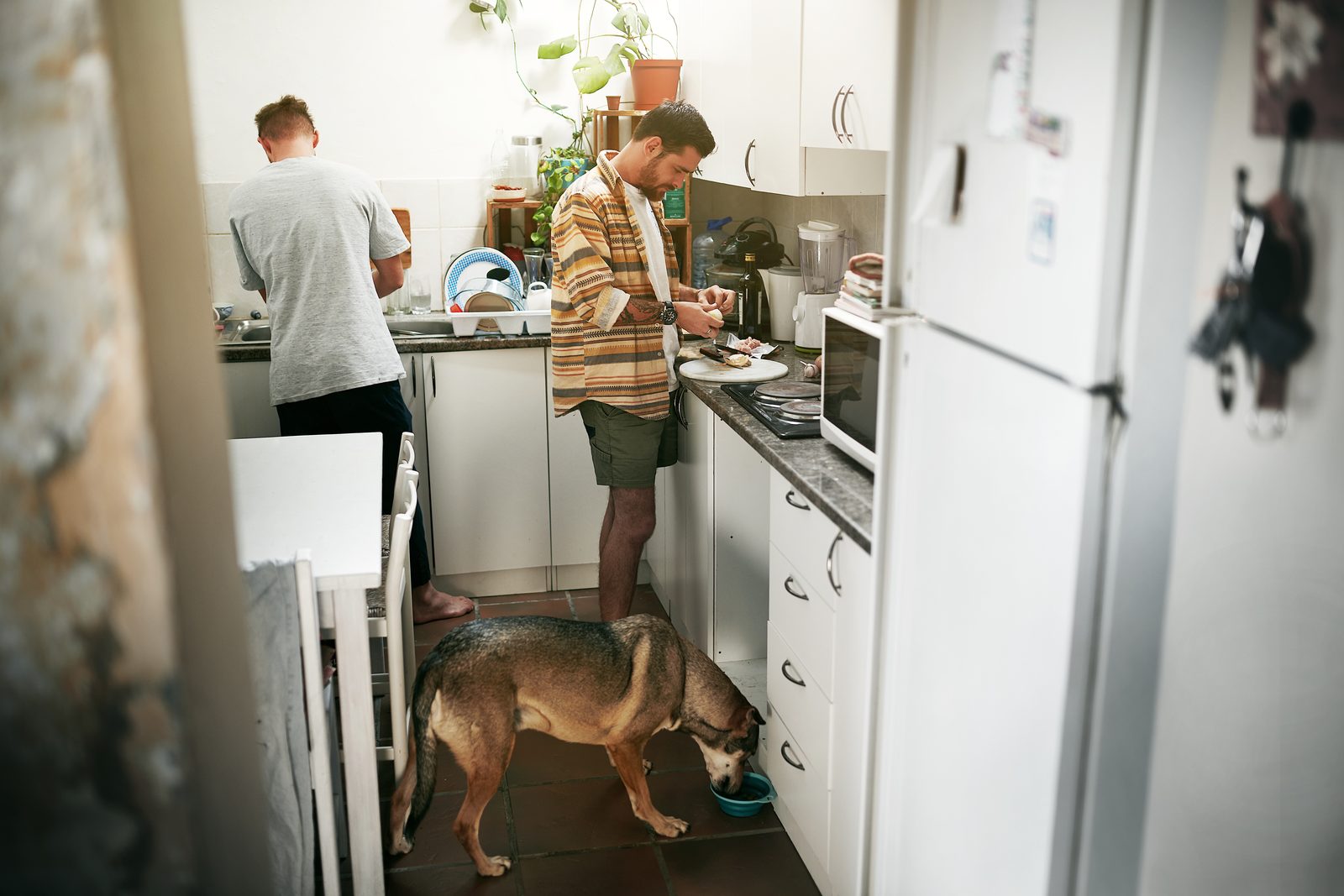 Two men get breakfast ready in a narrow home kitchen while their shepherd mix eats from a bowl on the floor
