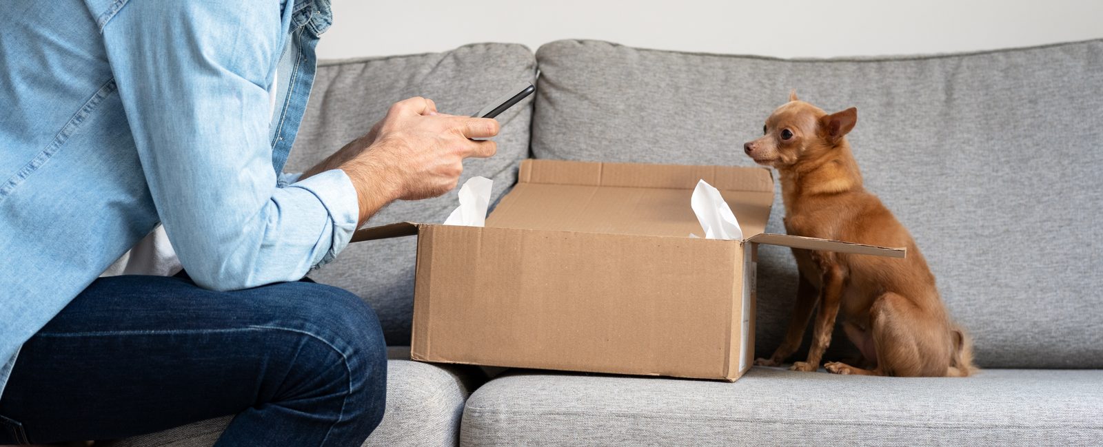 Man seated on a gray sofa opens a plain cardboard delivery box while holding a phone as a small brown dog watches beside it