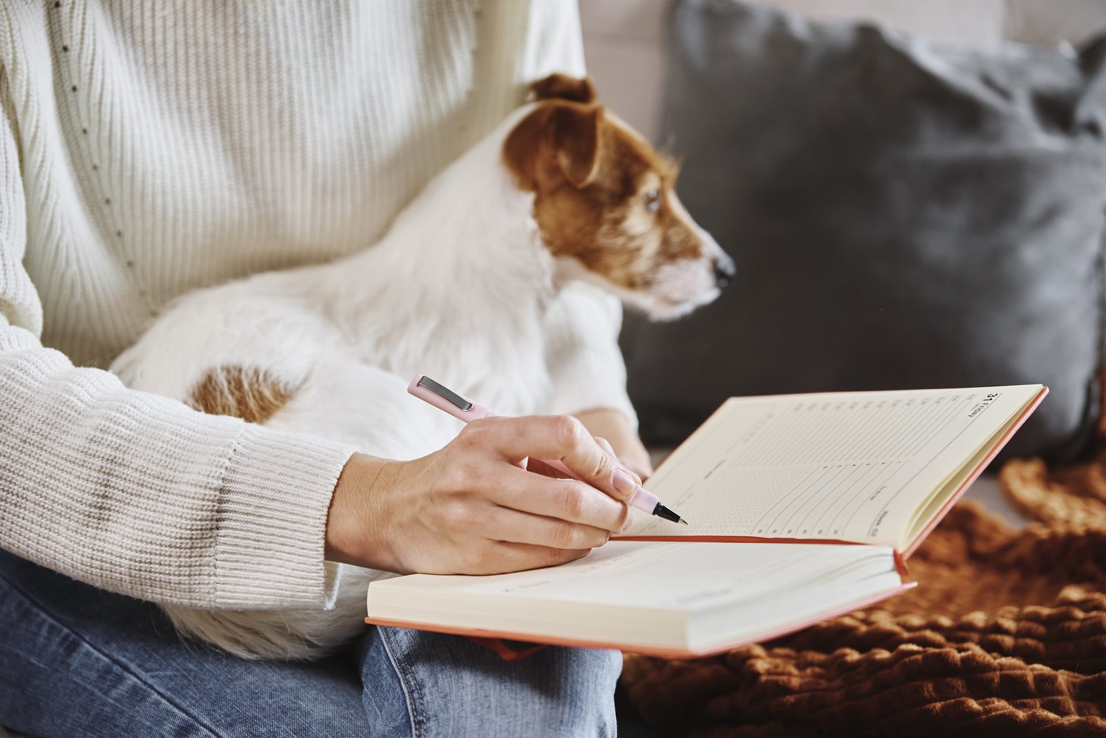 Hands write with a pen in an open planner on a sofa while a brown and white Jack Russell terrier rests on the owner's lap